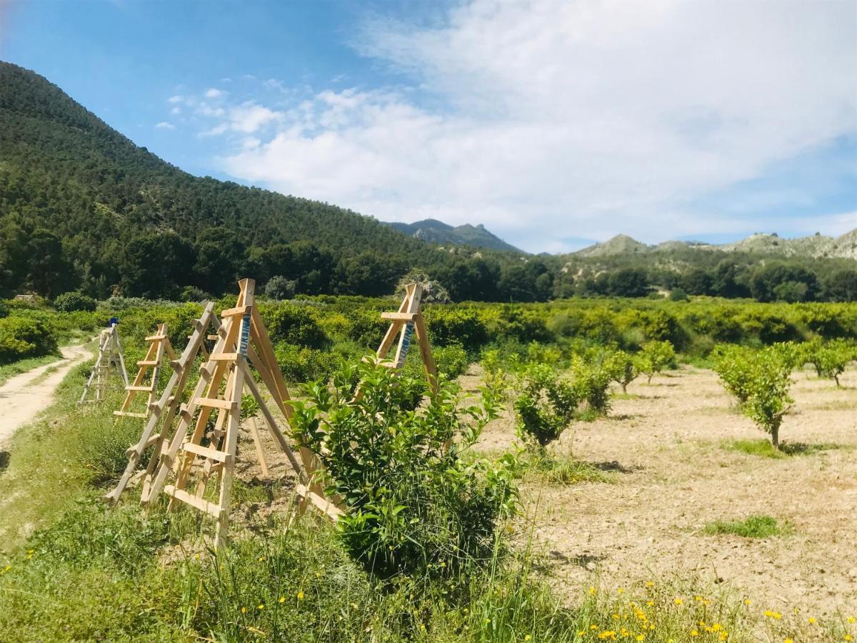 Casa Ramoncico. Finca El Campillo Бланка Экстерьер фото