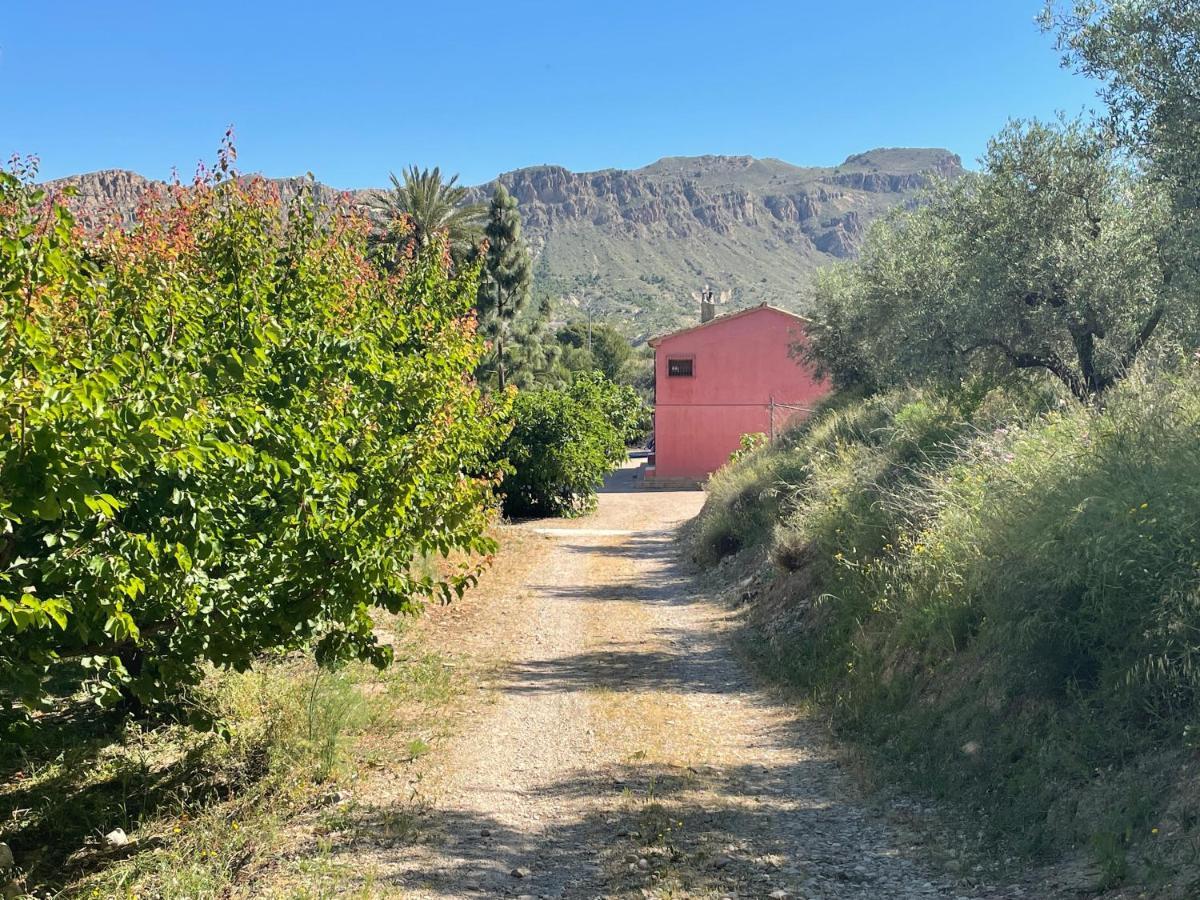 Casa Ramoncico. Finca El Campillo Бланка Экстерьер фото