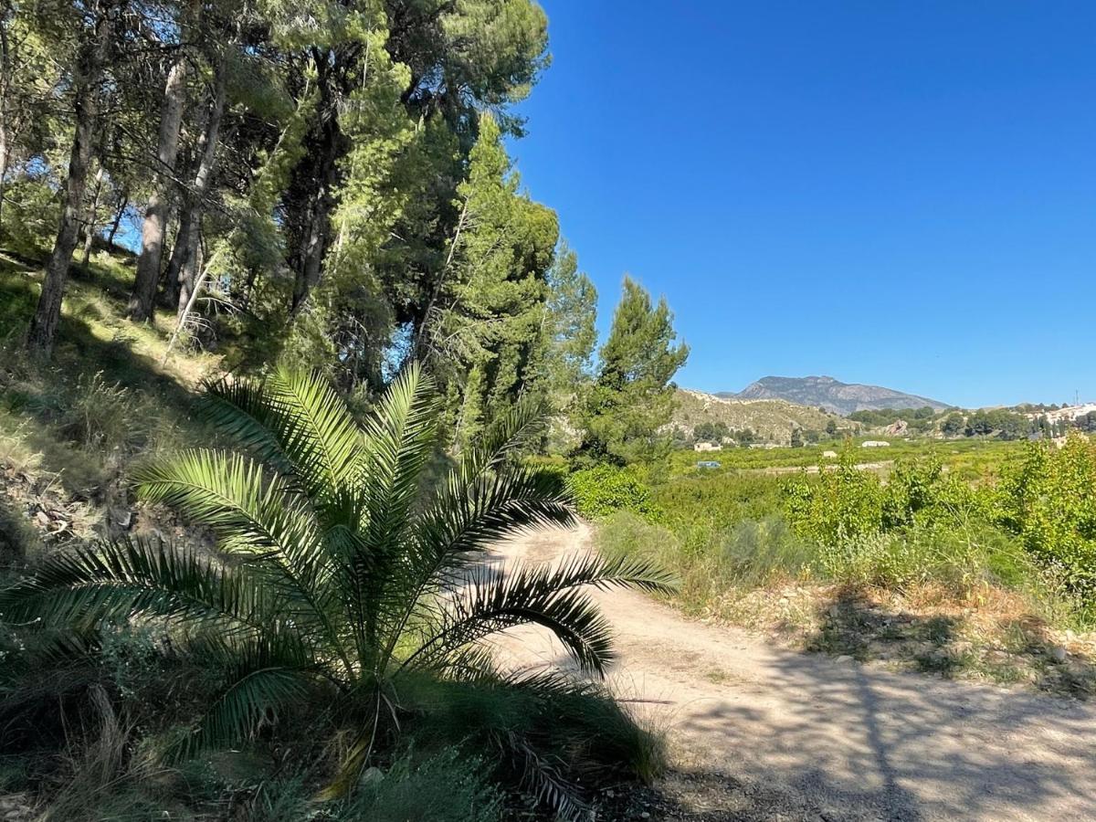 Casa Ramoncico. Finca El Campillo Бланка Экстерьер фото